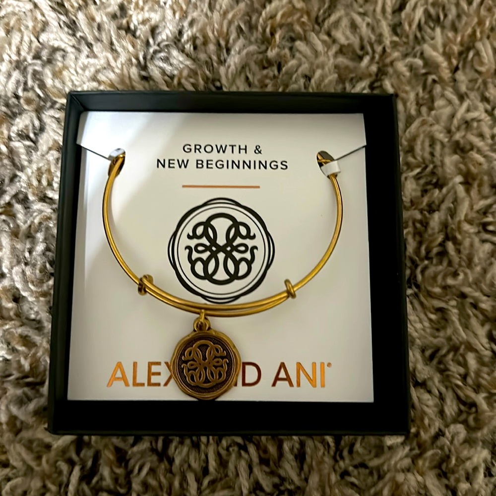 BNIB Alex and Ani bangle bracelet